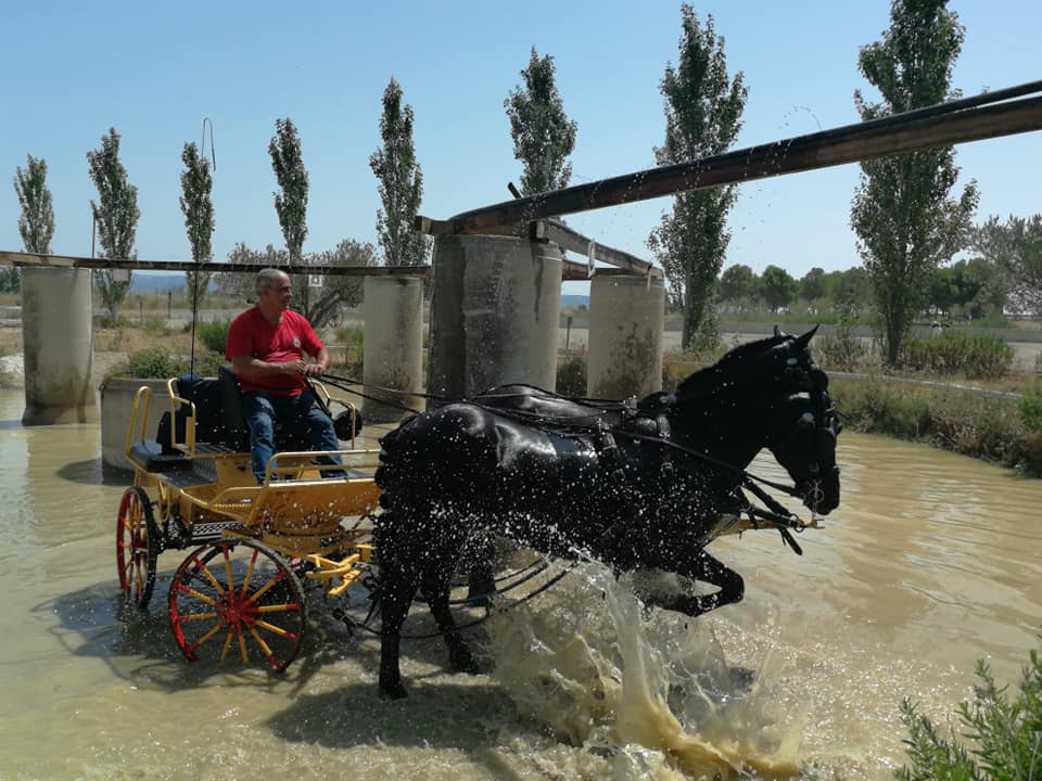3ª Fase y Final del Campeonato Navarra de Enganches Indoor en La Pinturita de Olite